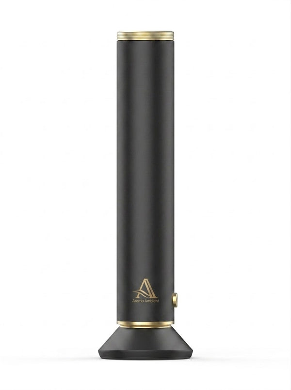 T20